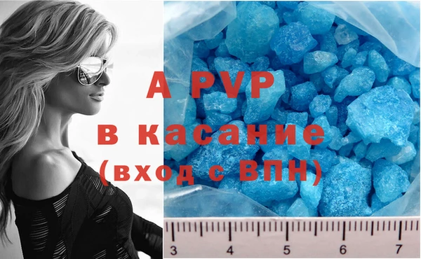 дурь Богданович