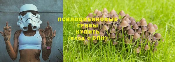 дурь Богородск