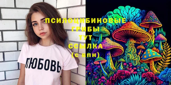 дурь Богородск