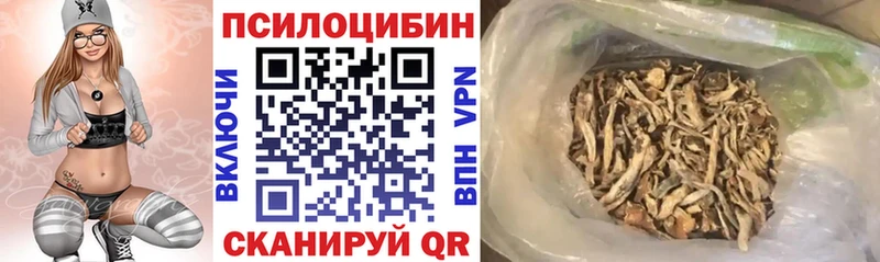 Купить  Алексеевка  Галлюциногенные грибы MAGIC MUSHROOMS 