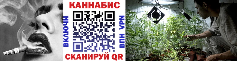 Купить где  Алексеевка  МАРИХУАНА конопля 